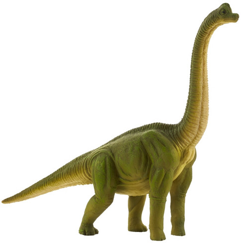 Mojo Brachiosaurus Dinosaur Figure